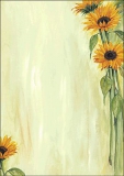 Sigel Motiv-Papier Sunflower DP694 VE25