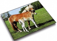 Läufer Schreibunterlage Pferd und