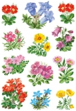 HERMA Sticker DECOR 