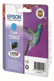Epson Tintenpatrone T08034010 rot