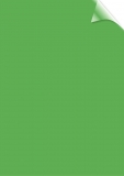 Umschlagfolie Color PVC Deckblatt A4 grü