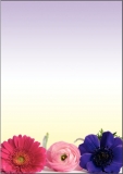 Motiv-Papier Flower Harmony, A4, 90 g, f