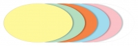 Moderationskarte 250ST oval sortiert