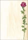 Sigel Motiv-Papier Rose Bloom DP695 VE25