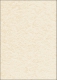 Sigel Designpapier A4 90g Perga champagn