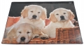 Läufer Schreibunterlage Hunde, 400 x
