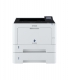 Laserdrucker Mono WorkForce AL-M310DTN i