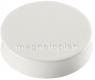 Magnet Ergo Medium 30mm weiß 10 St./Pack