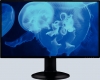 LED Monitor, 27